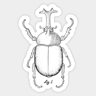 Fig 1. Dynastinae Sticker